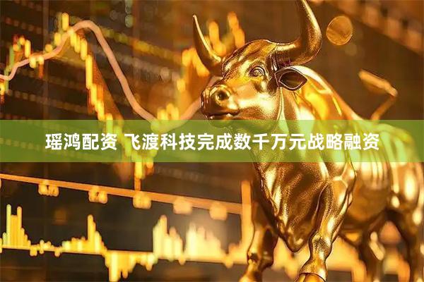 瑶鸿配资 飞渡科技完成数千万元战略融资