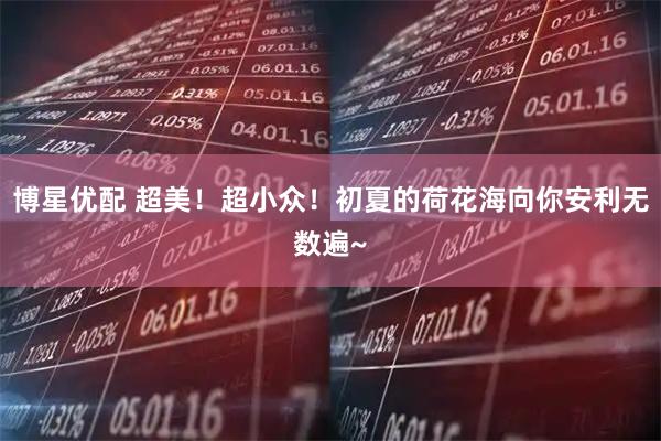 博星优配 超美！超小众！初夏的荷花海向你安利无数遍~