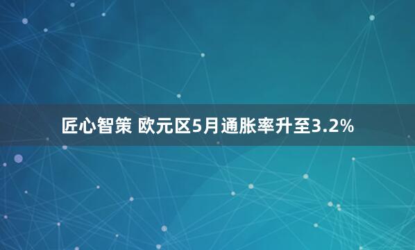 匠心智策 欧元区5月通胀率升至3.2%